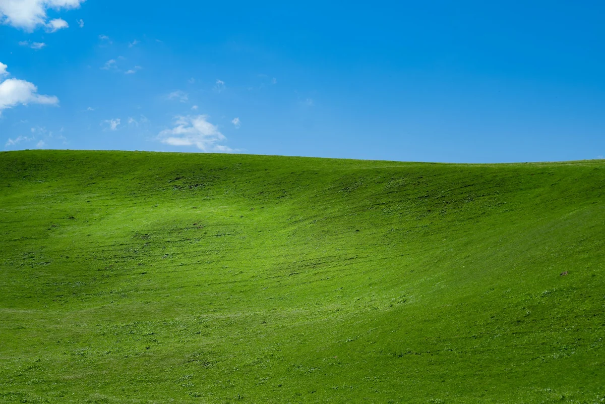 Windows XP Left Pane Missing